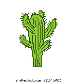 Cactus pixel art. 8 bit Cactus isolated. pixelated vector illustration