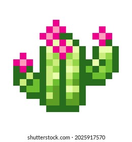 Cactus pixel art. Vector picture.