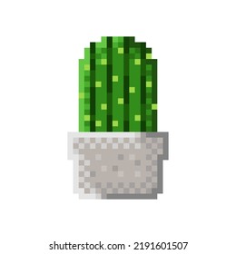 Cactus pixel art. Vector picture.
