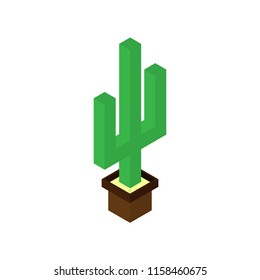 Cactus plant 3d vector and illustration design. isolated cactus in pots on a white background. isometry