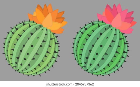Cactus plant ball cartoon color vector illustration design element object, horizontal, over white, isolated
