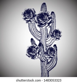 Cactus plant with bloom in roses. Hand-drawn vector illustration with desert plants for your surreal design.