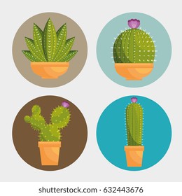 cactus plant botany icon