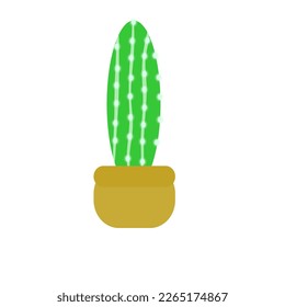 Planta De Cactus En Caca Marrón