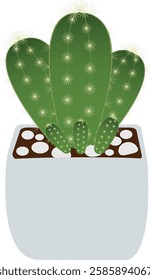 Cactus is a plant in the Cactaceae family that originated in deserts. It is a popular succulent plant that is grown for its beauty.