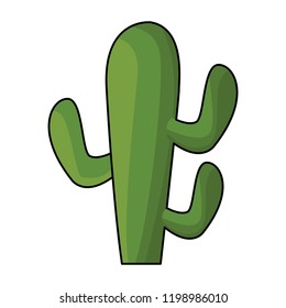 Cactus plant cartoon