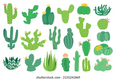 Planta de cactus. Caricatura decorativa exótica suculenta, planta tropical del desierto. Conjunto aislado de vectores mexicanos aloe. Ilustración de cactus mexicanos, cactus exóticos