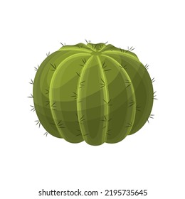 cactus plant cartoon. green desert plant. cacti design. decoration garden cactus plant vector illustration