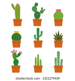 Cactus plant collections vector set isolated on white background
