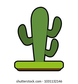 Cactus plant desert