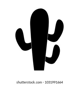 Cactus plant desert