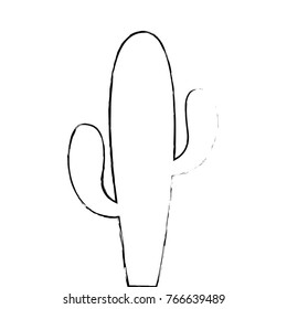 cactus plant desert succulent botanical