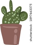 Cactus plant desert succulent caudex plant in vector format