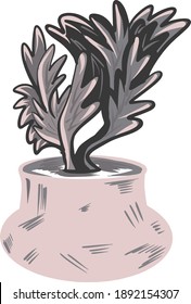 Cactus plant desert succulent caudex plant in vector format