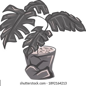 Cactus plant desert succulent caudex plant in vector format