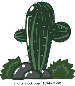 Cactus plant desert succulent caudex plant in vector format