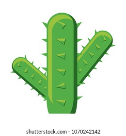 cactus plant design