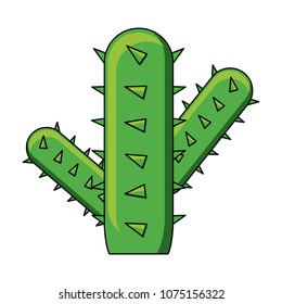 cactus plant design