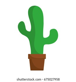 cactus plant design