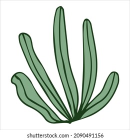 cactus plant doodle hand drawn vector illustration