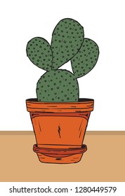 cactus plant in flower pots