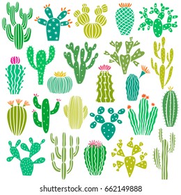 Cactus plant and flower vector set isolated on white