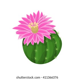 Cactus plant with flowers. Blooming cactus. Vector illustration 