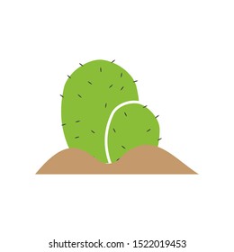 Cactus plant graphic design template vector isolated