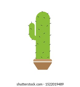 Cactus plant graphic design template vector isolated