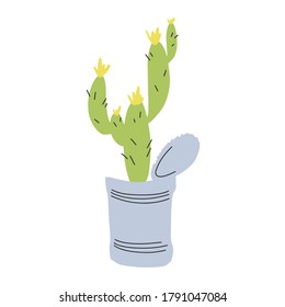 Cactus plant in a gray can