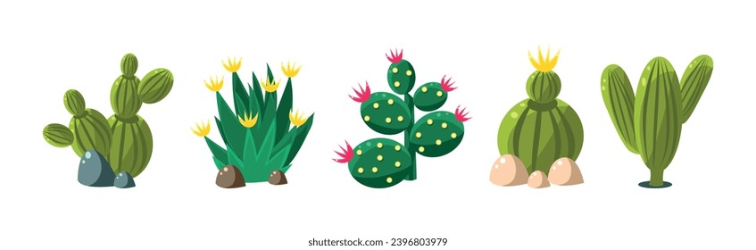 Cactus Plant Growing as Prickly Desert Flora Vector Set