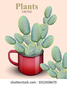 Cactus Plant growing in red pots Vector background 