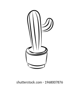 Cactus plant Hand drawn Vector Illustration Black and White