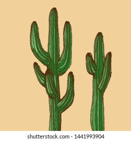 Cactus Plant. Hand-drawn Vector Illustration With Desert Plants For Your Natural Design.