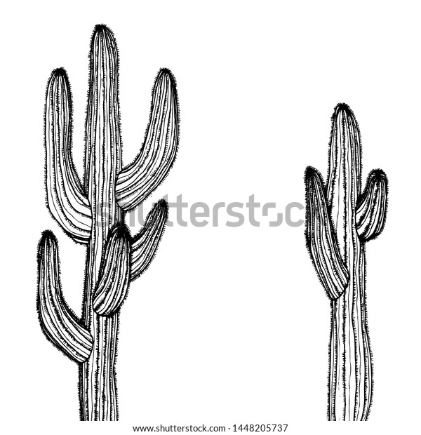 Dessin Simple En Cactus Noir Et Image Vectorielle De Stock Libre De Droits