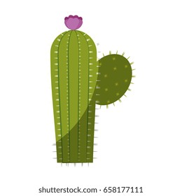 cactus plant icon