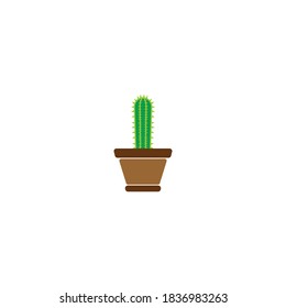 cactus plant icon vector symbol illustration