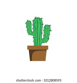 cactus plant illustration