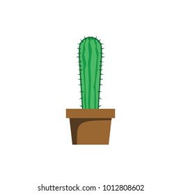 cactus plant illustration