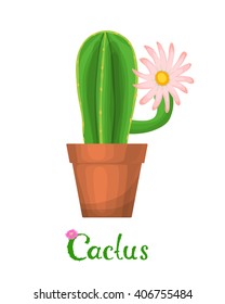 Cactus plant illustration