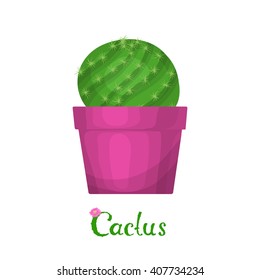 Cactus plant illustration