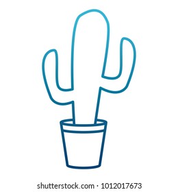 Cactus plant isolated