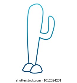 Cactus plant isolated