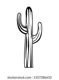 cactus plant isolated icon