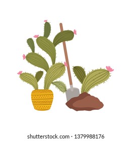 cactus to plant isolated icon
