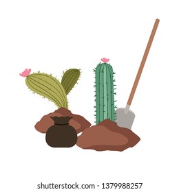 cactus to plant isolated icon