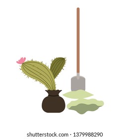 cactus to plant isolated icon