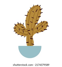Cactus plant isolated on white background. Vector graphic design illustration