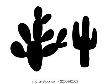 Cactus plant, isolated on white