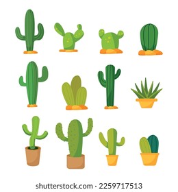 Cactus plant isolated vector illustration